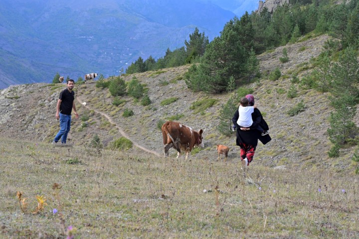 Gümüşhane’de genç muhtarın Türkiye’ye ilham veren başarı hikayesi