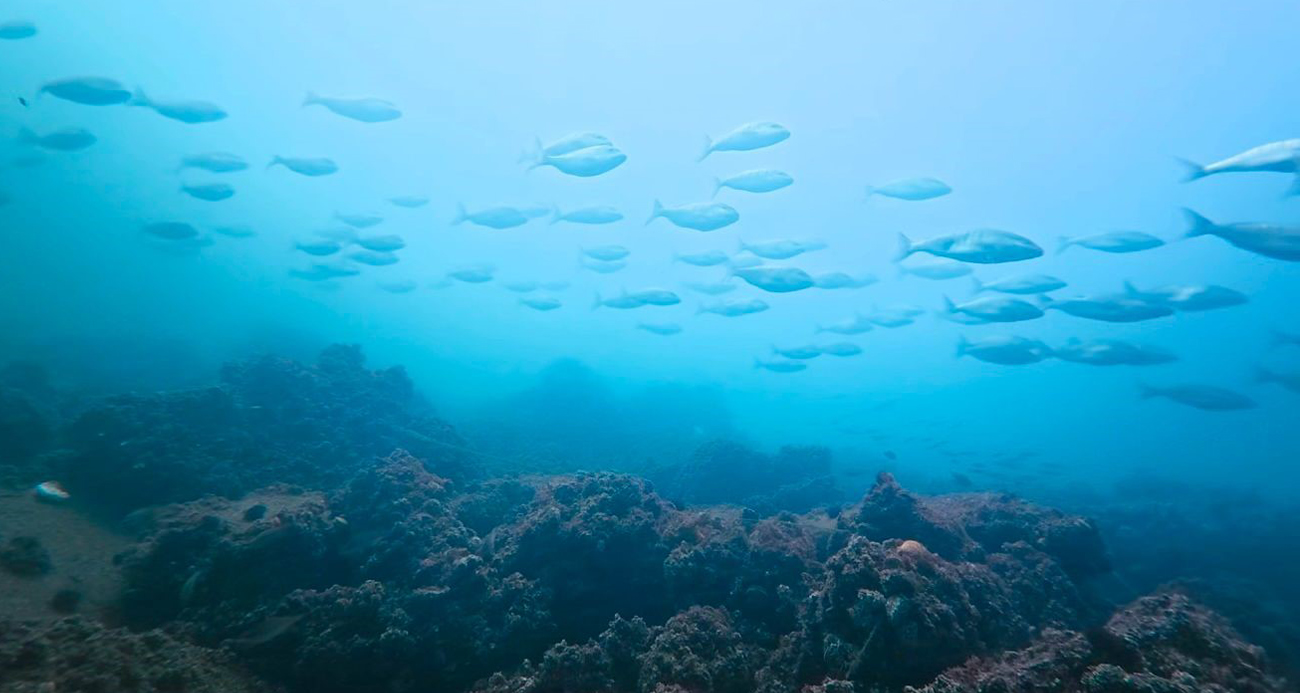 Cam gibi görüntüler!