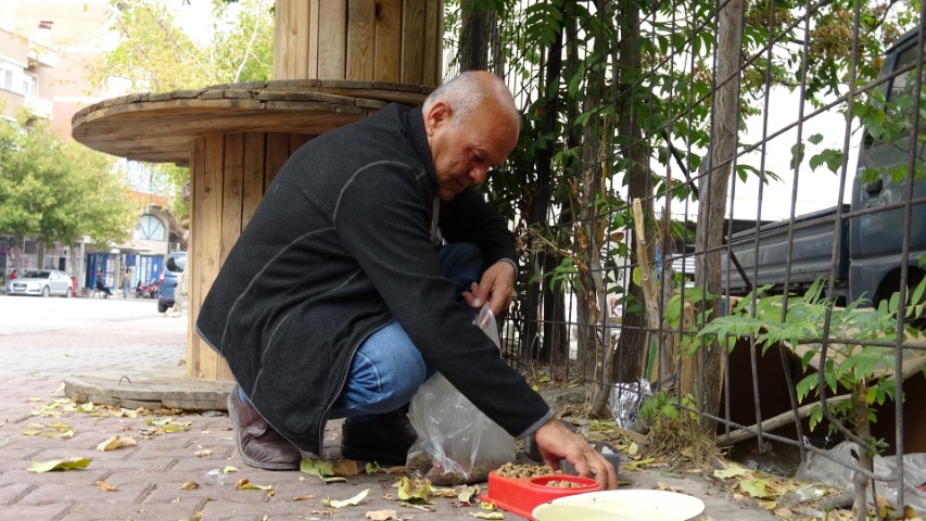 Beslemek istediği köpek saldırdı, koluna 10’dan fazla dikiş atıldı