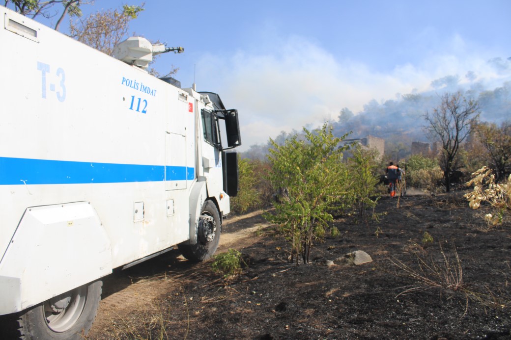Patlıcan közlerken ormanı yakan şahıs yakalandı: 1 gözaltı