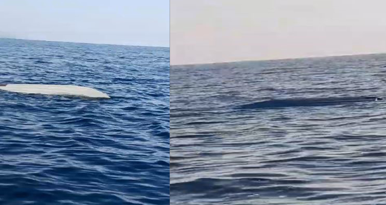 Karadeniz kıyılarında bir insansız deniz aracı şüphesi daha