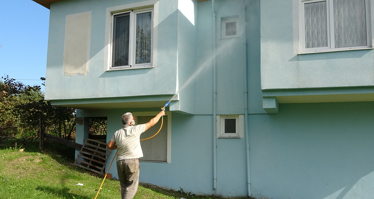 Kahverengi kokarca istilası vatandaşları tedirgin ediyor