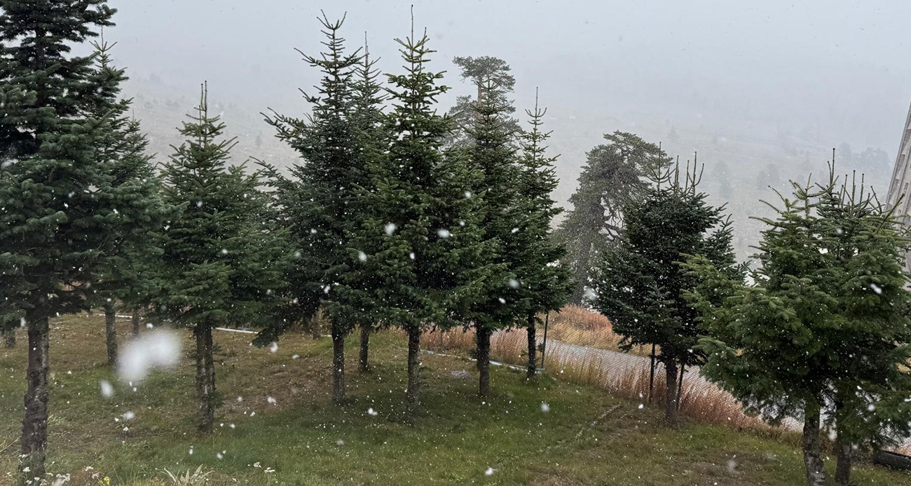 Bolu’da mevsimin ilk karı yağdı