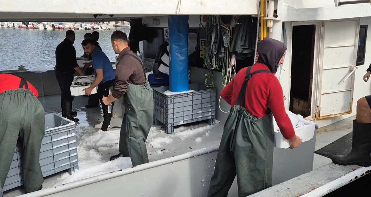 Kasa kasa balıkla döndüler:Tekirdağlı balıkçıların yüzü gülüyor