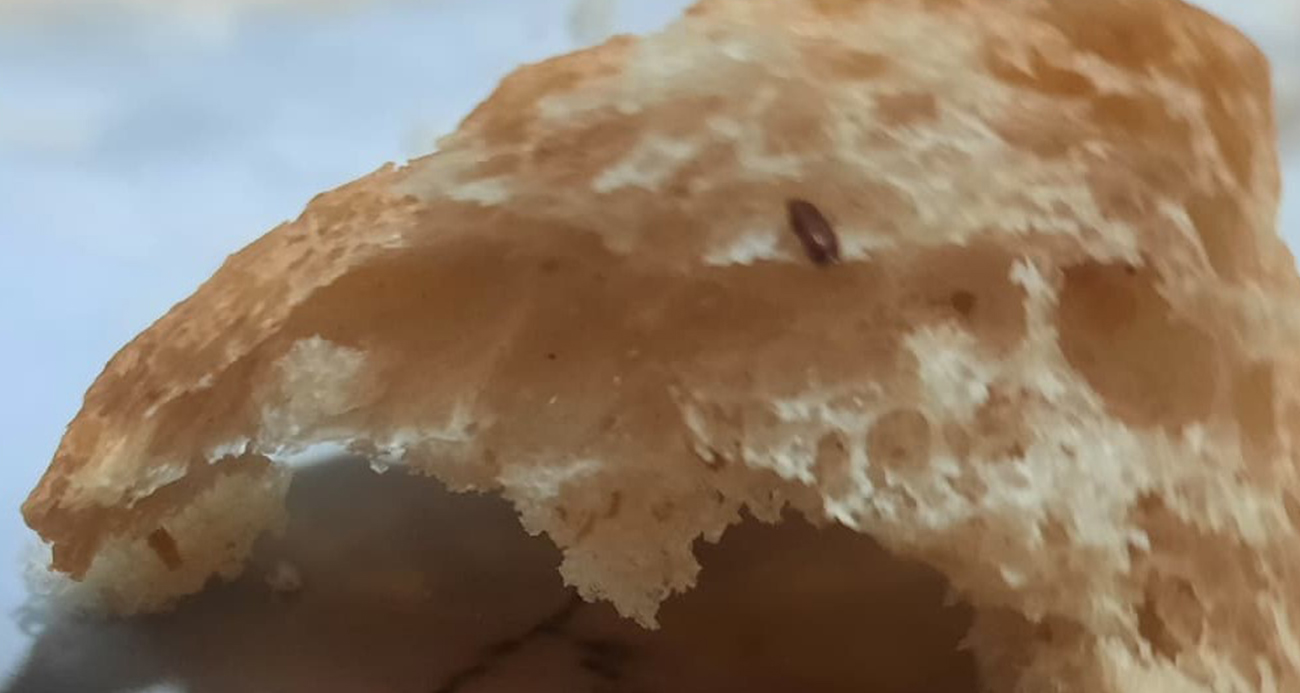 Pamukkale Halk Ekmek’in içerisinden çıkan fare dışkısı ve un kurdu yeni doğum yapan anneyi sütten kesti