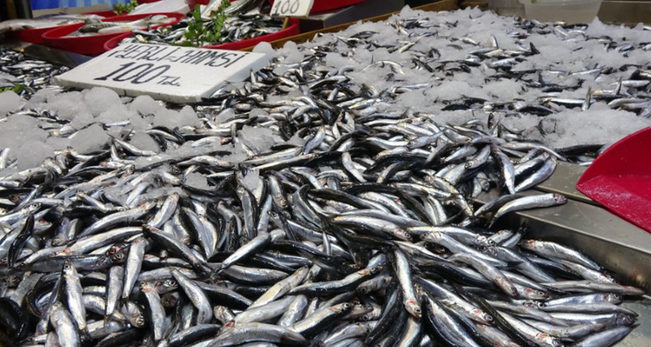 Hamside tehlike çanları çalıyor