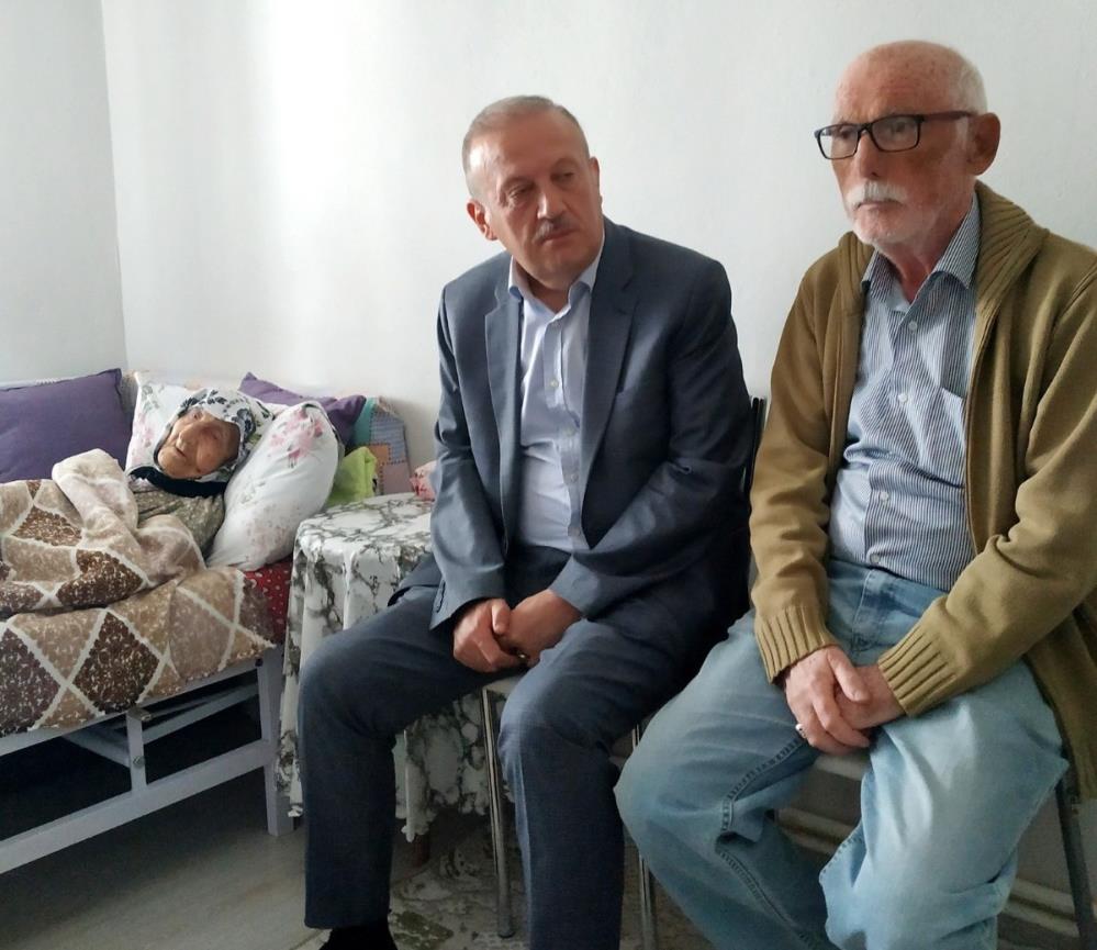 Kaymakam 2 padişah, 12 cumhurbaşkanı ve 27 başbakan gören çınara pasta kesti
