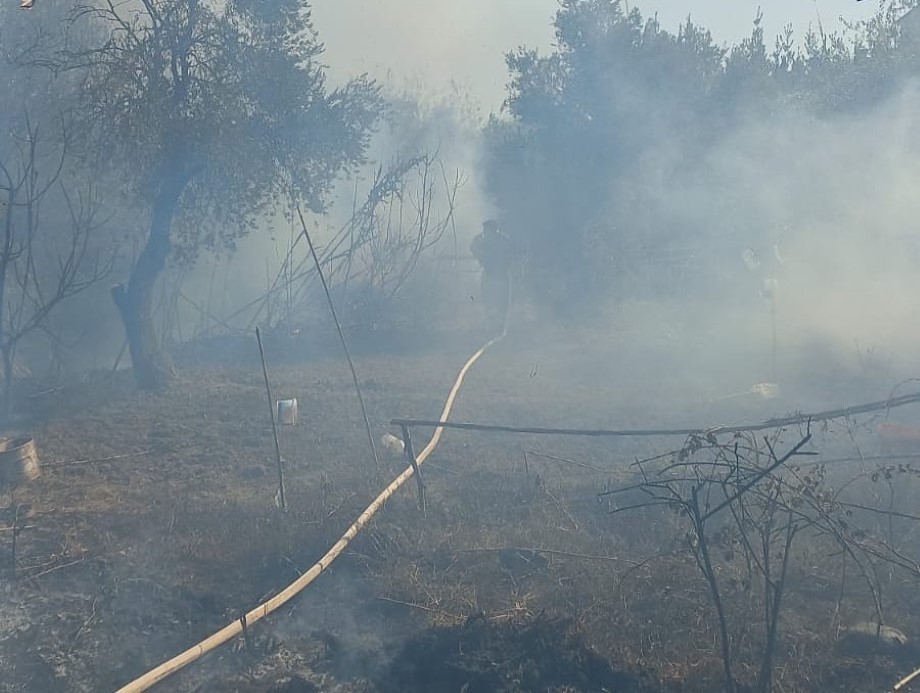 Antakya’da zeytinlik alanda yangın