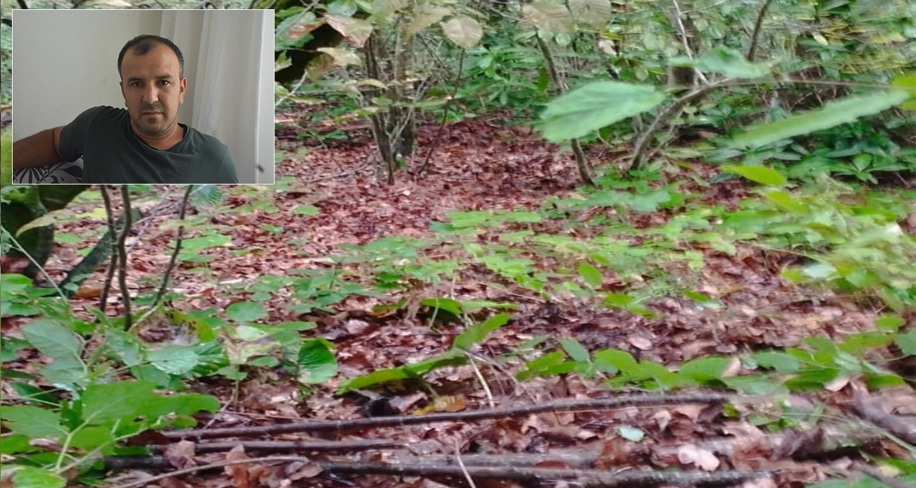 Genç adam ormanda yaşadığı dehşeti anlattı: "Ayı sesi duydum ve bir anda üzerime saldırdı"