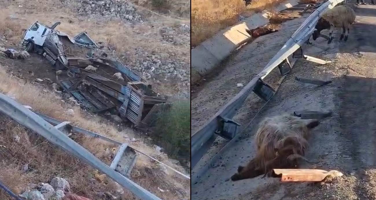 Hayvan taşıyan kamyon şarampole yuvarlandı: 2 yaralı