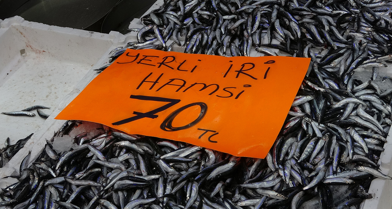 Hamsi 70 liraya düştü, vatandaş sevinçten çiğ yedi
