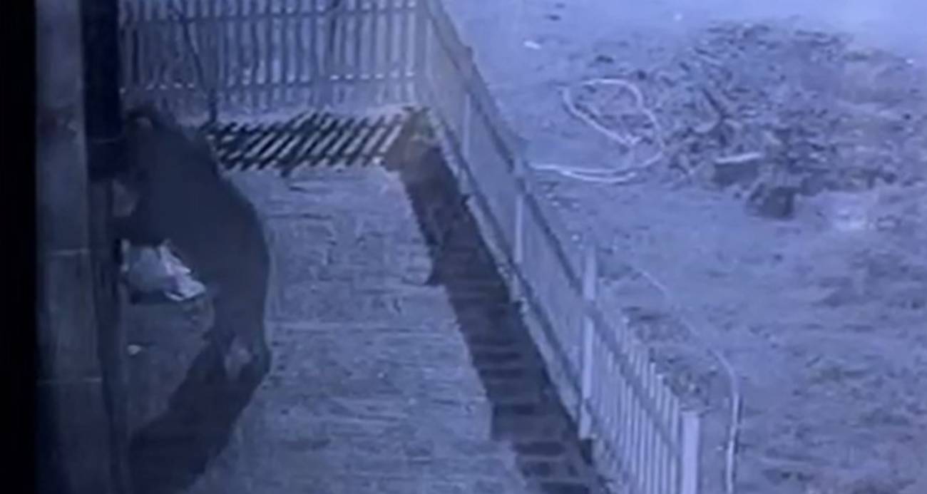 Evine hırsız dadandı sandı, gerçek güvenlik kamerası ile ortaya çıktı