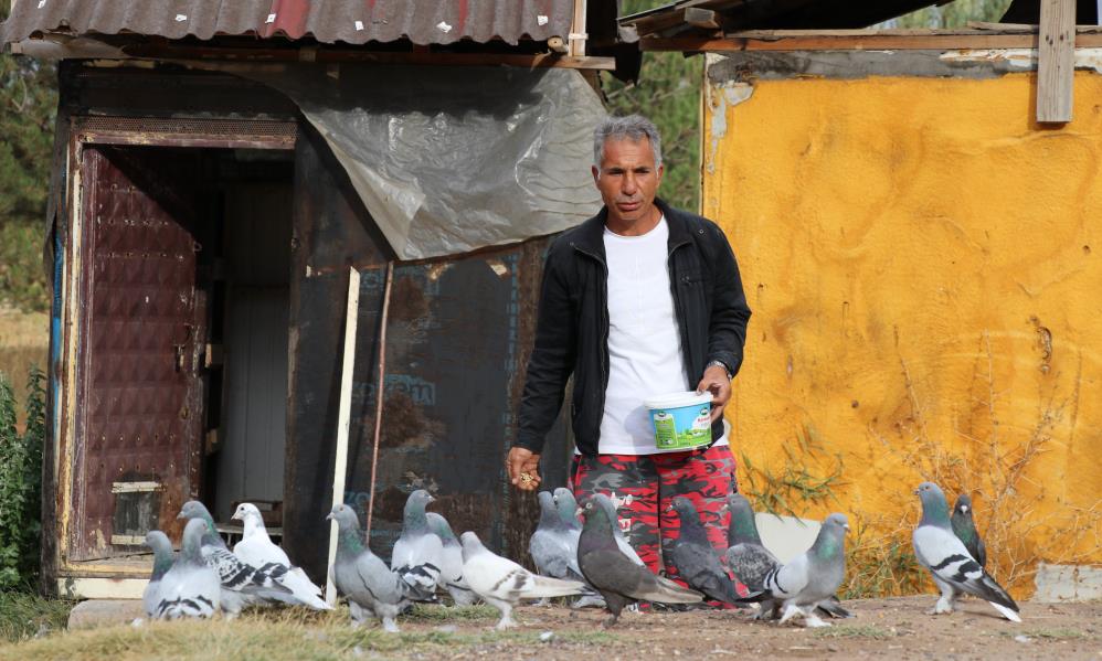 Değeri yarım milyondan fazla, yurt dışından bile talep görüyor