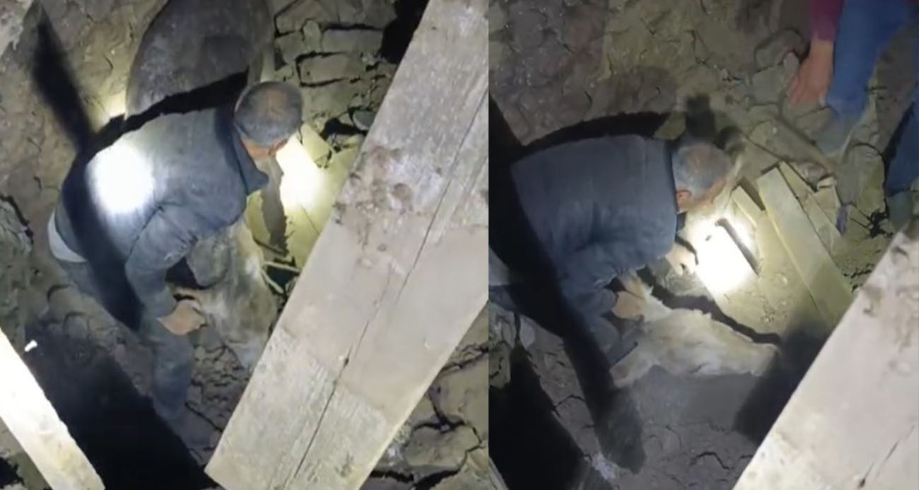 Sındırgı’da enkaz altında kalan eşek canlı kurtarıldı