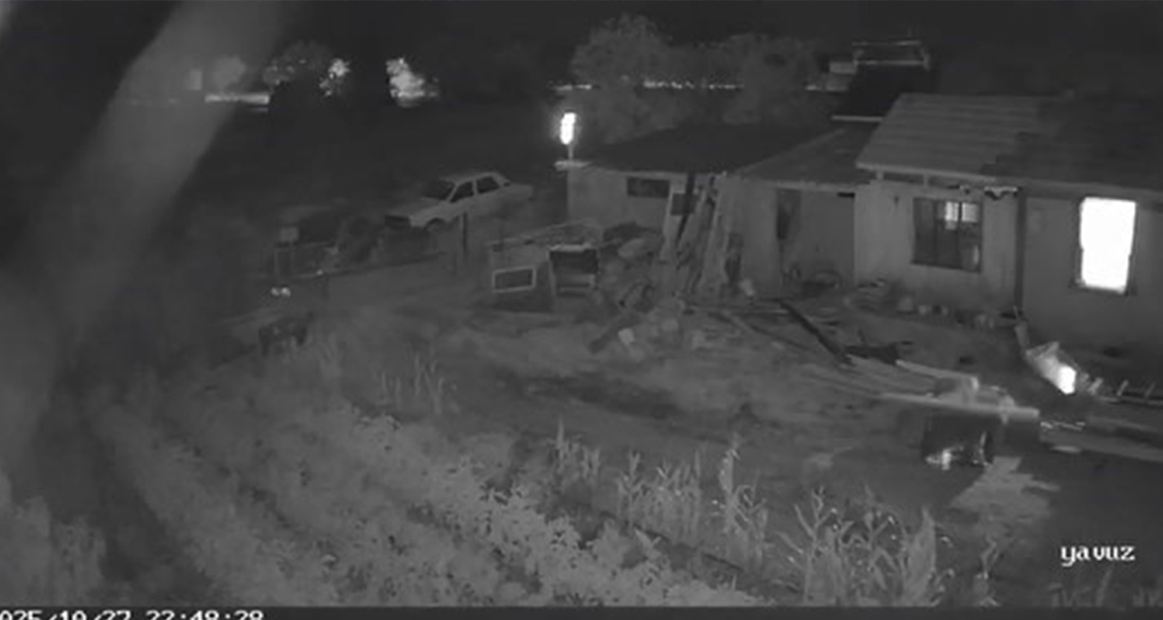 Sındırgı depreminde beşik gibi sallandı...O anlar kamerada