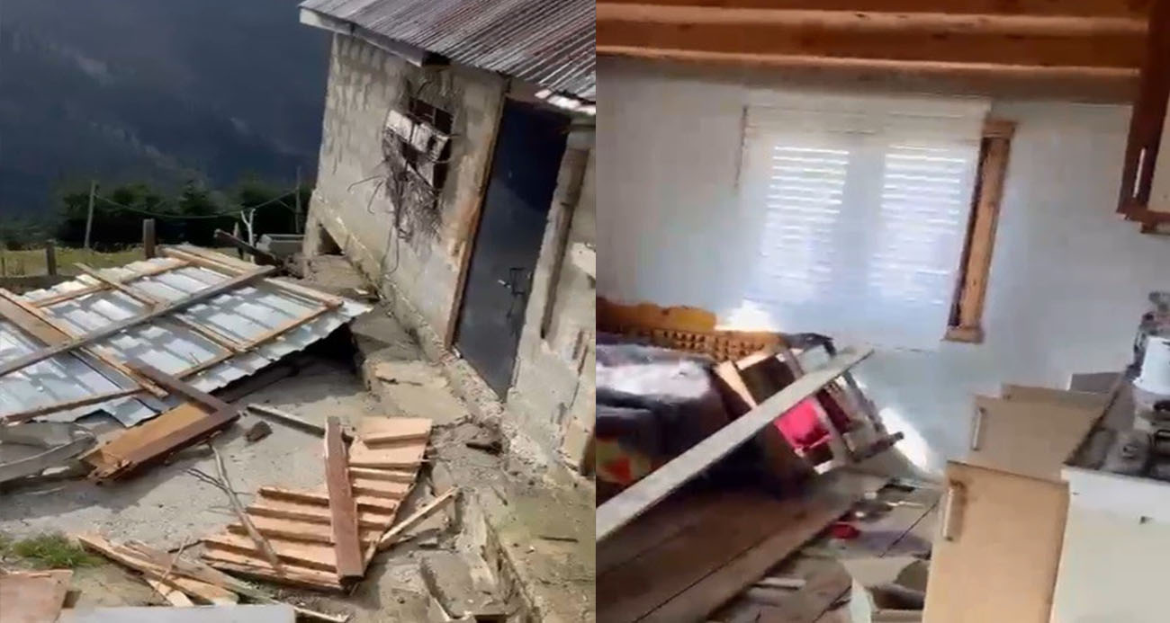 Rize yaylalarında ayı paniği: 20 ev talan edildi