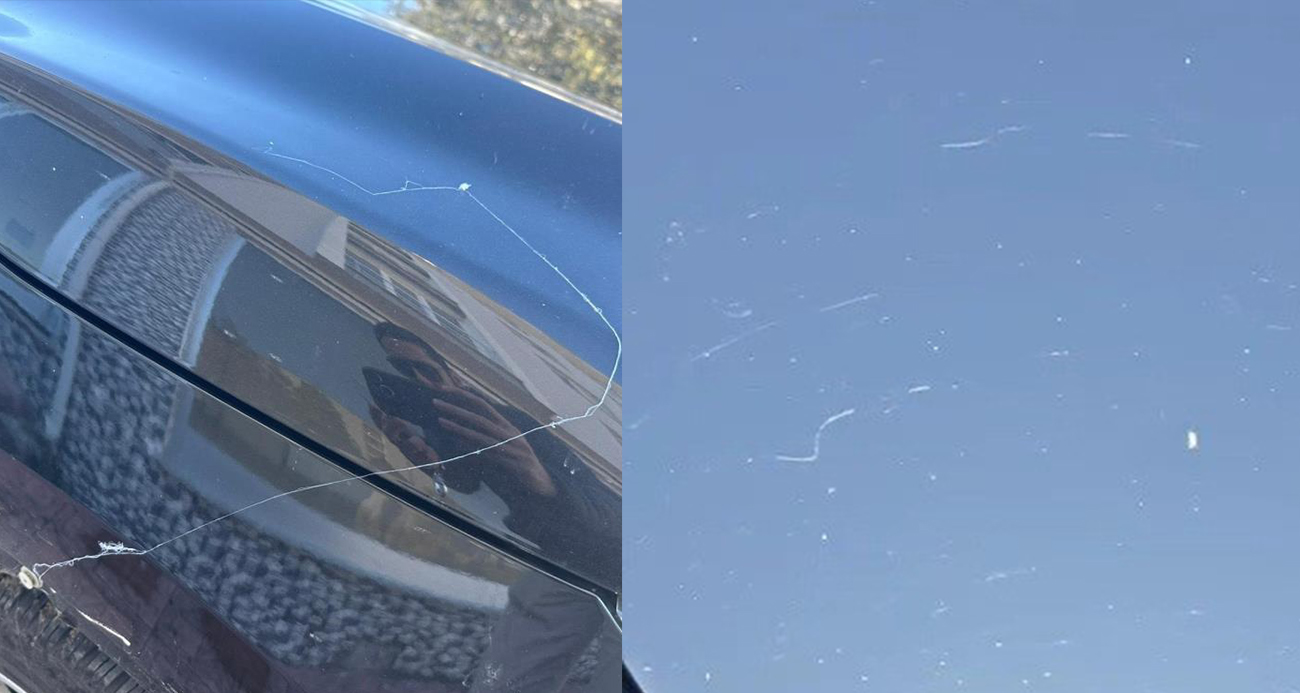 Tekirdağ’da gökyüzünden örümcek ağı yağdı