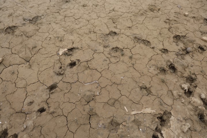 Kozan Barajı manzaranın değil, kuraklığın simgesi oldu