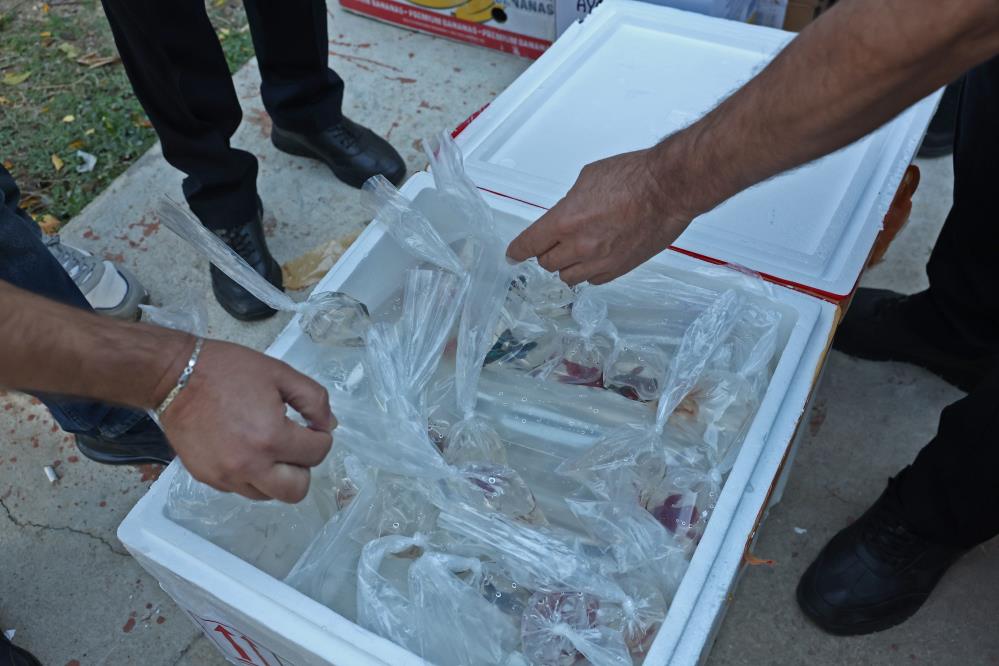 Tayland’tan süs balıkları, Tokat’tan horoz, İstanbul’dan kalkan balığı