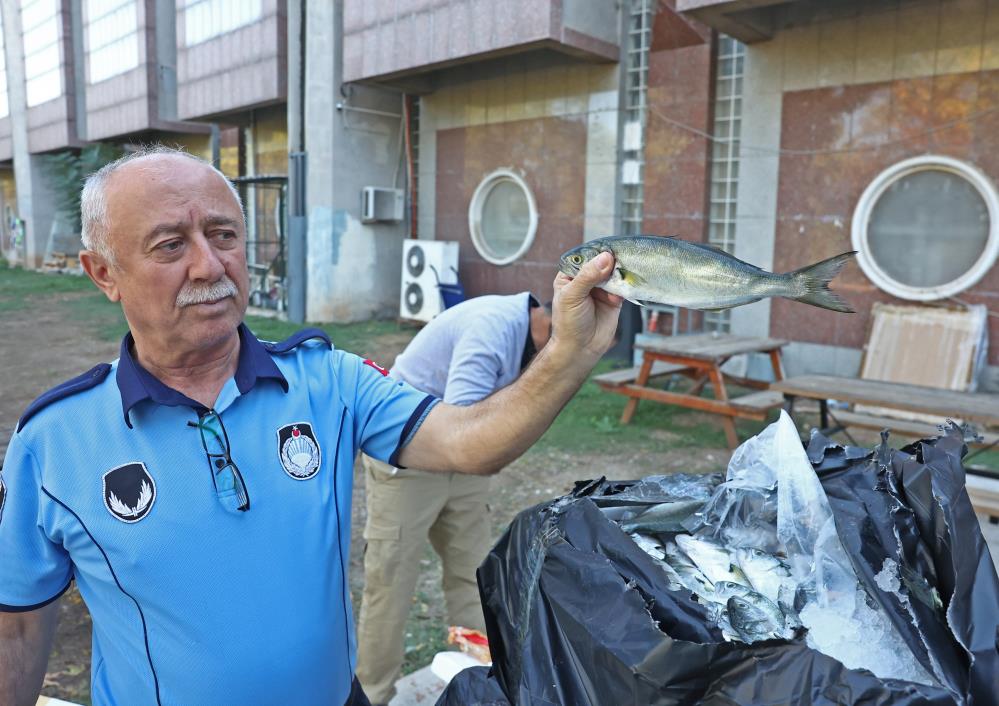 Tayland’tan süs balıkları, Tokat’tan horoz, İstanbul’dan kalkan balığı