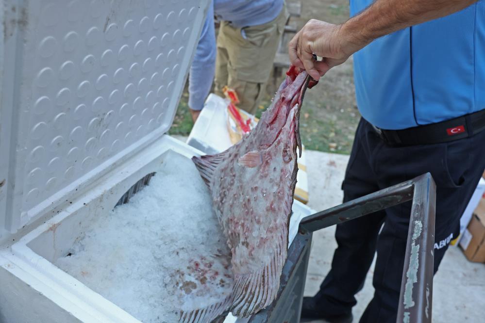 Tayland’tan süs balıkları, Tokat’tan horoz, İstanbul’dan kalkan balığı