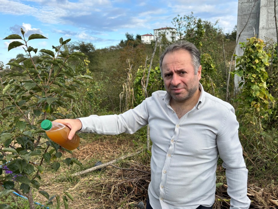Kadife çiçeği ve soğanla kahverengi kokarcaya doğal çözüm