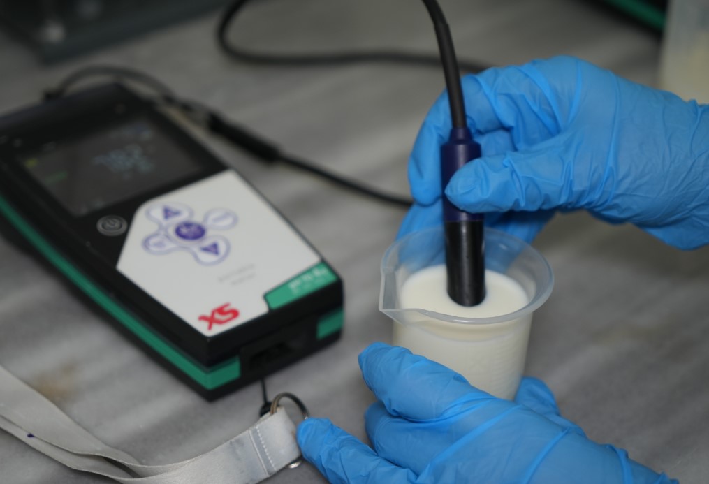 Hükümlüler hem meslek ediniyor hem üreterek ekonomiye katkı sağlıyor: Ayda 300 ton süt işleniyor