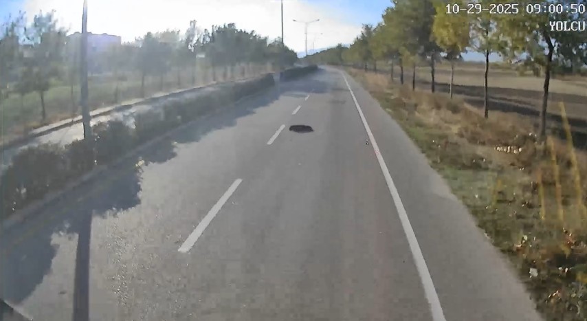 Yaralı köpeği kurtarmak için seferini yarıda bırakan halk otobüsü şoföründen insanlık dersi