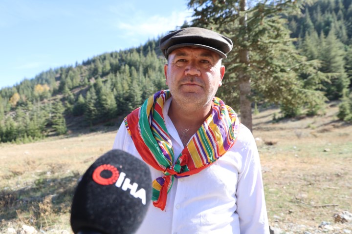 Kilosu etle yarışıyor: Japonların gözdesi sedir mantarı çıktı