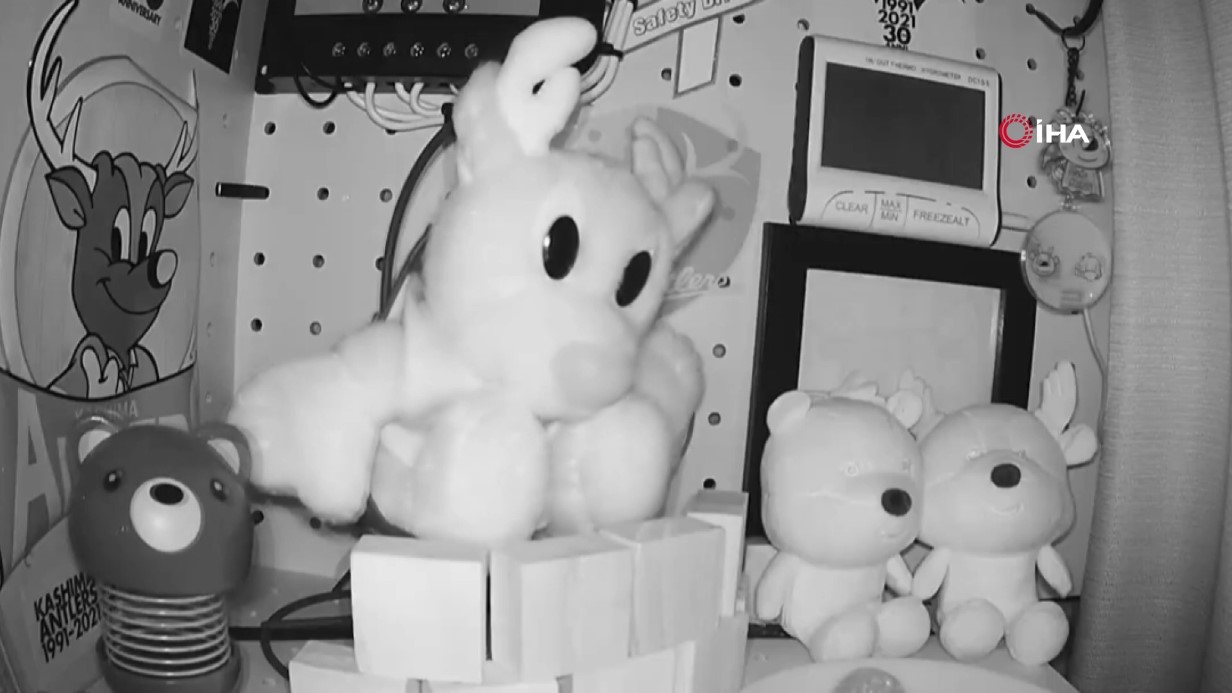 Japonya'da 6,7 büyüklüğünde deprem: Tsunami uyarısı yapıldı