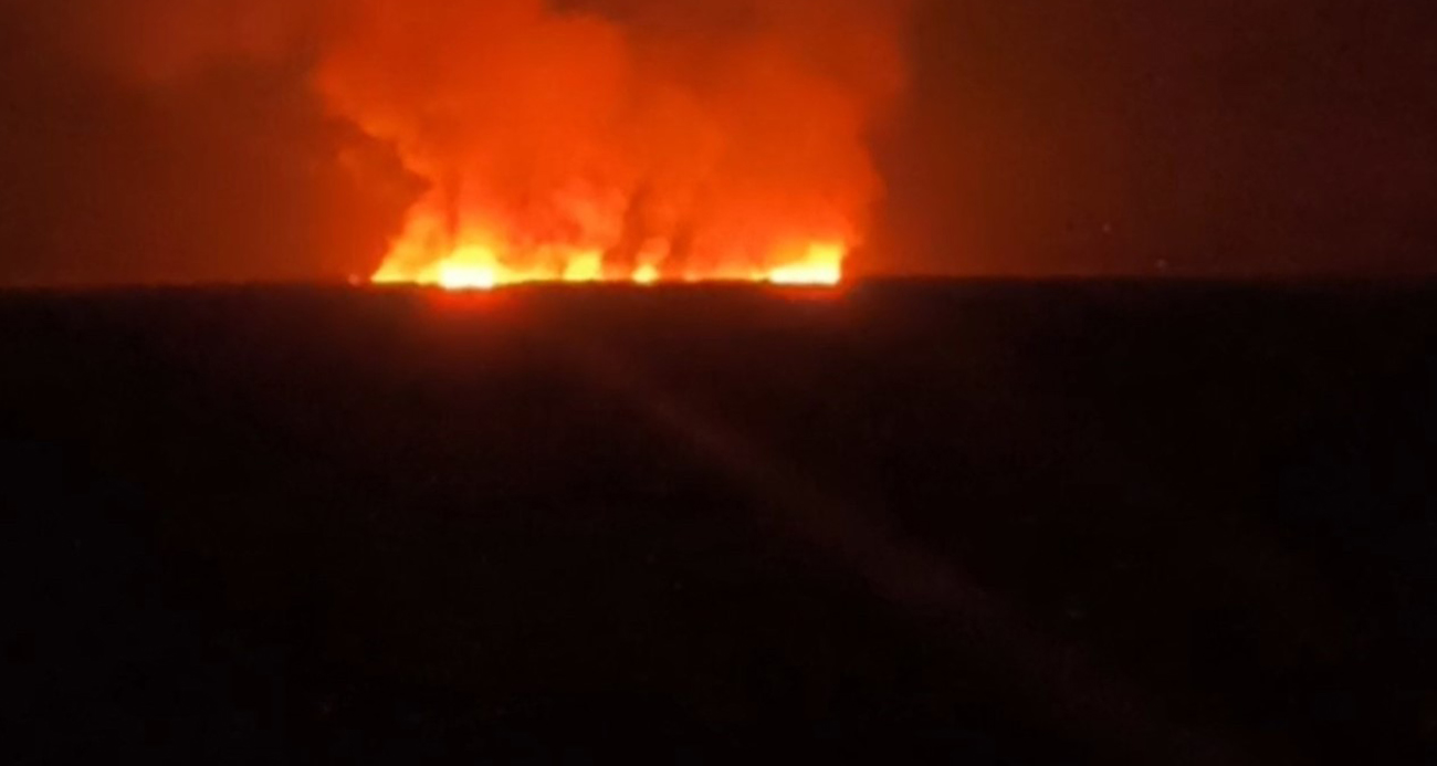 Hakkari’de kuş cennetinde yangın