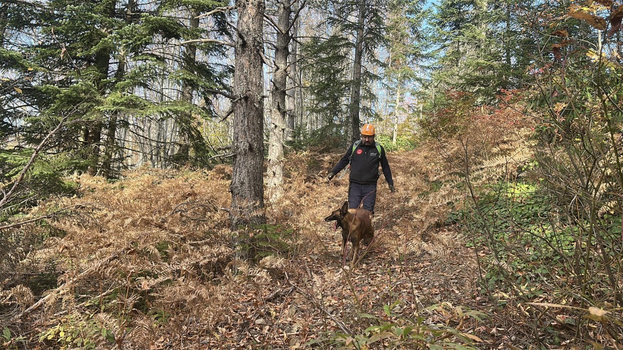 Kayıp anne ve oğlu için