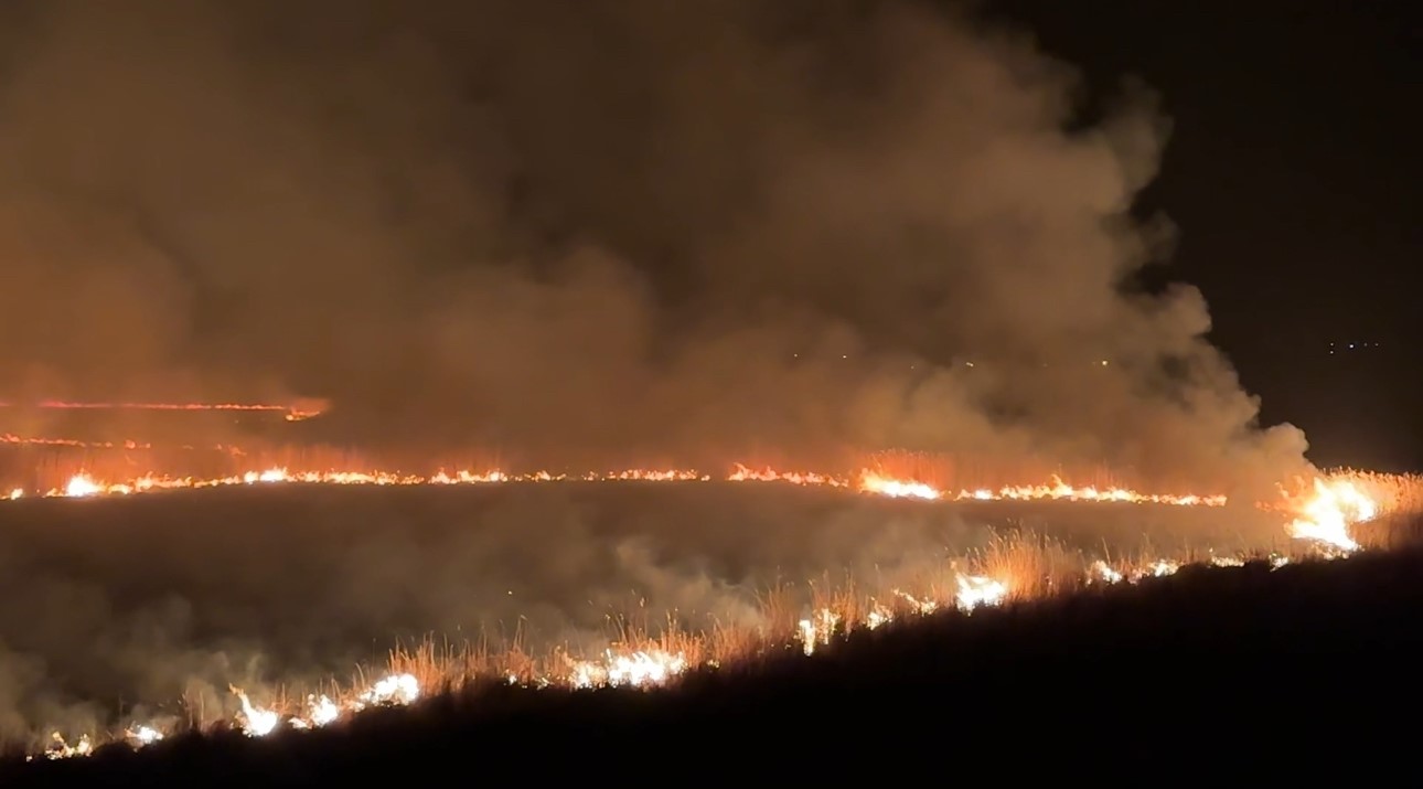Yüksekova’da kuş cenneti Nehil Sazlığı’ndaki yangın yerleşim yerlerini tehdit ediyor