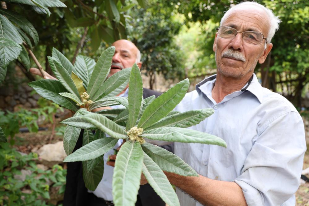 Diyarbakır’ın bu köyünde ne eksen onu biçiyorsun