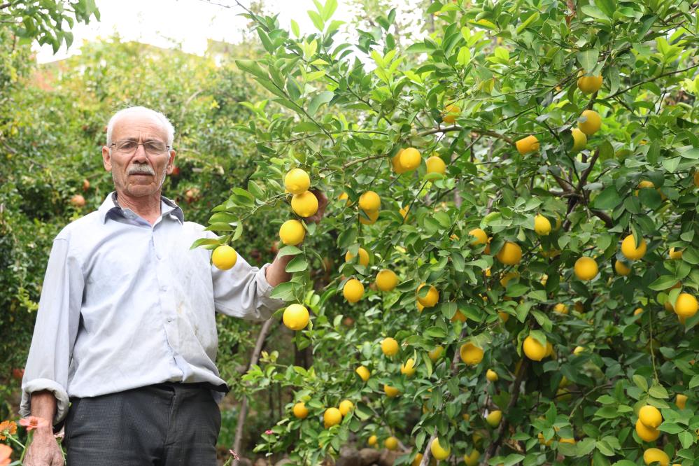 Diyarbakır’ın bu köyünde ne eksen onu biçiyorsun