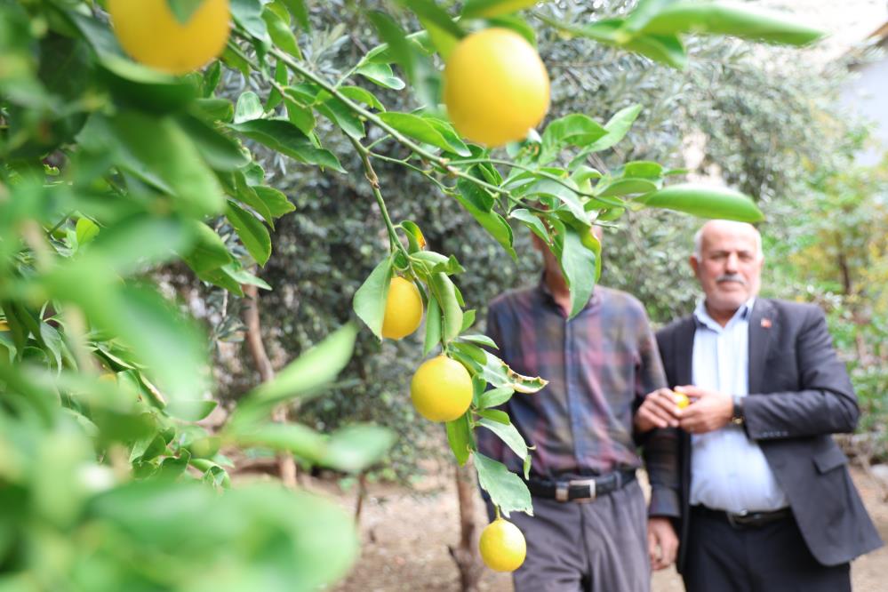 Diyarbakır’ın bu köyünde ne eksen onu biçiyorsun