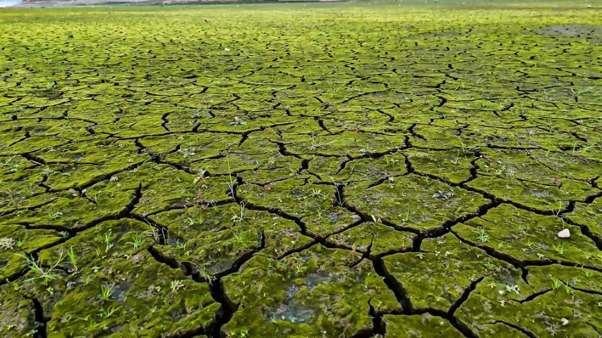 Mega kentte kuraklığın izleri havadan görüntülendi