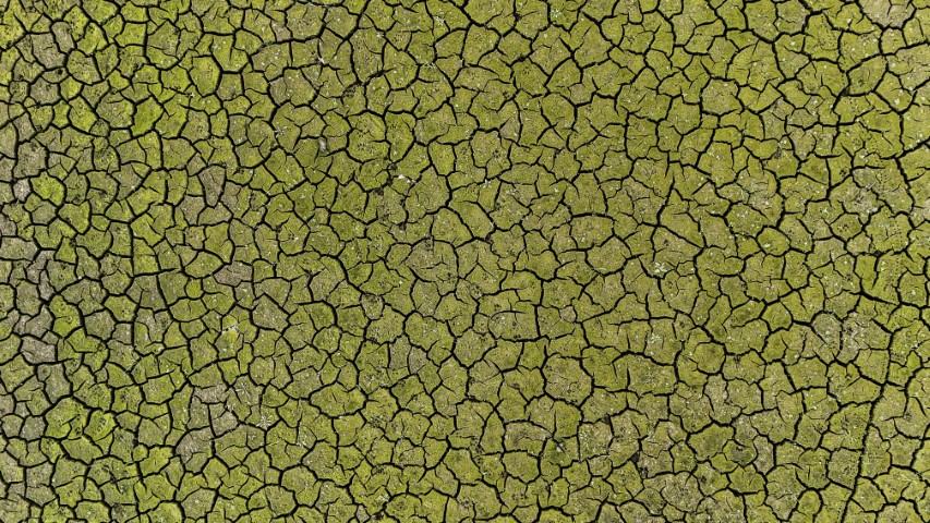 Mega kentte kuraklığın izleri havadan görüntülendi