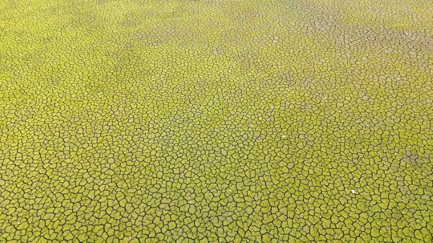 Mega kentte kuraklığın izleri havadan görüntülendi