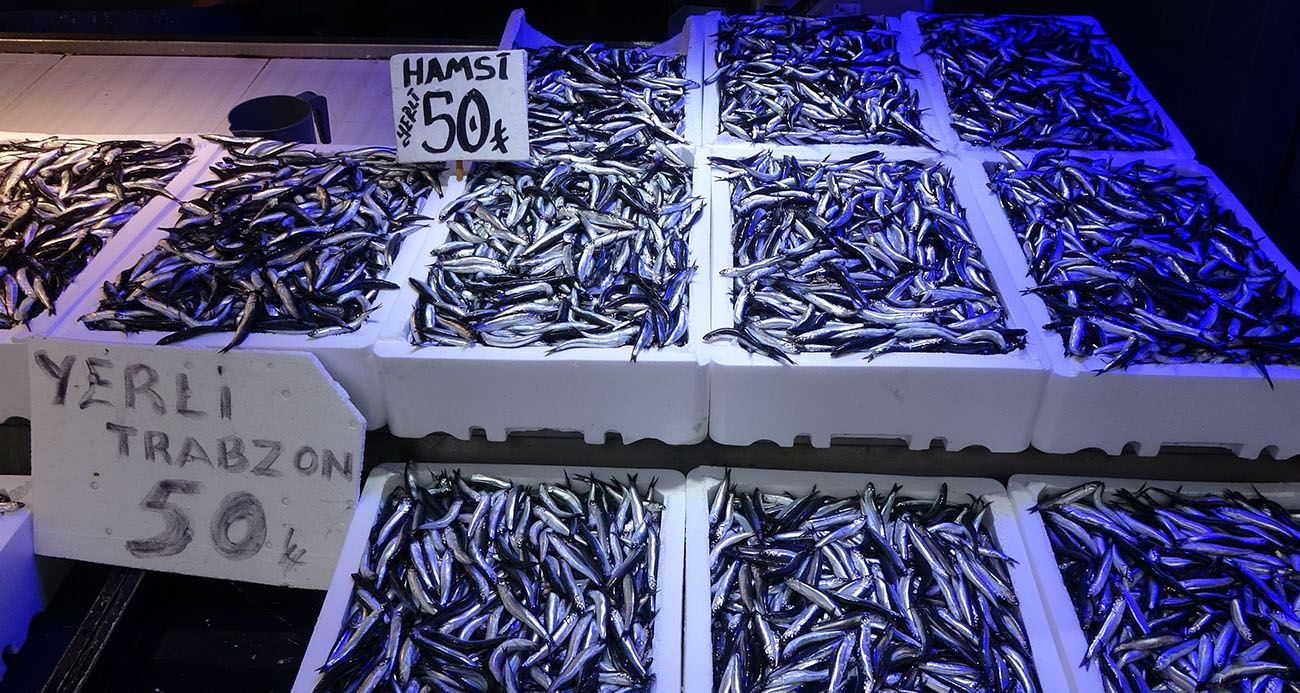 Karadeniz’de hamsi bolluğu