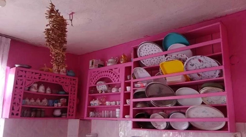 75 yaşına kadar bütün hayatını pembeye boyadı, akülü arabasına gücü yetmedi