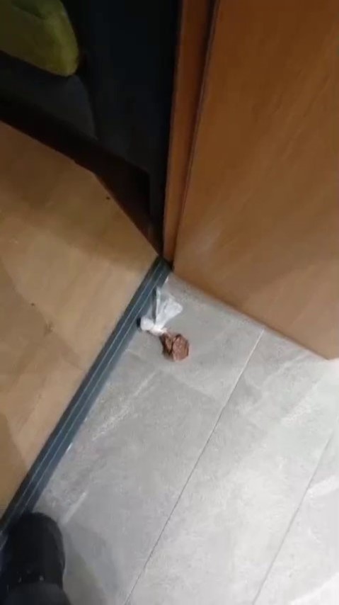 Gürsel Tekin’den CHP İstanbul İl Binası’ndaki tuvalet skandalına ilişkin tepki