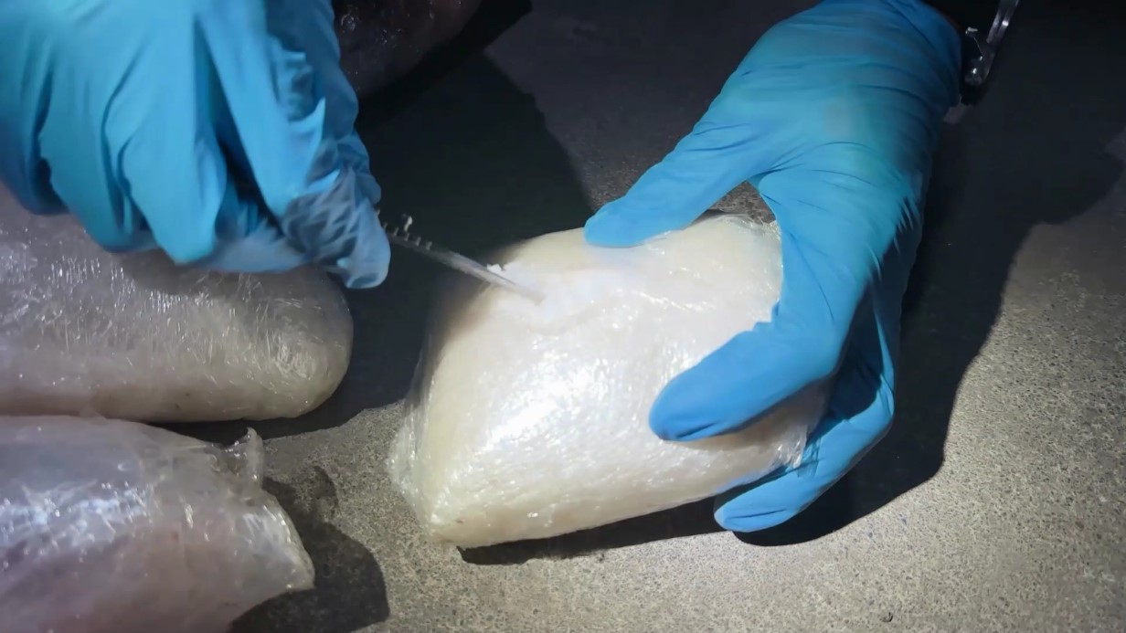 Ordu’da zehir tacirlerine büyük darbe