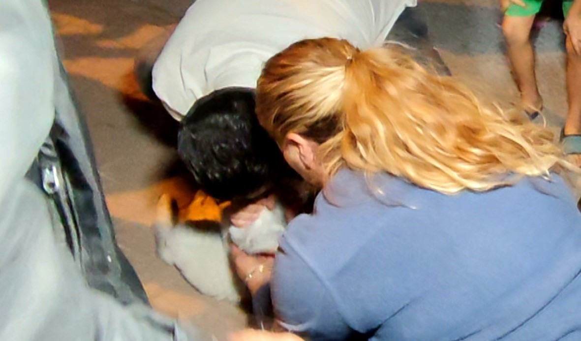 Antalya’daki yangında 2 kedi telef oldu, sahipleri gözyaşlarına boğuldu