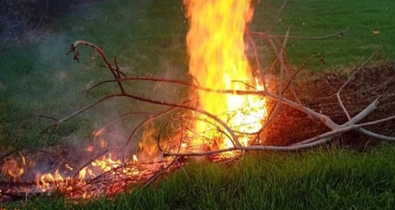 Milas’taki orman yangınları büyümeden söndürüldü