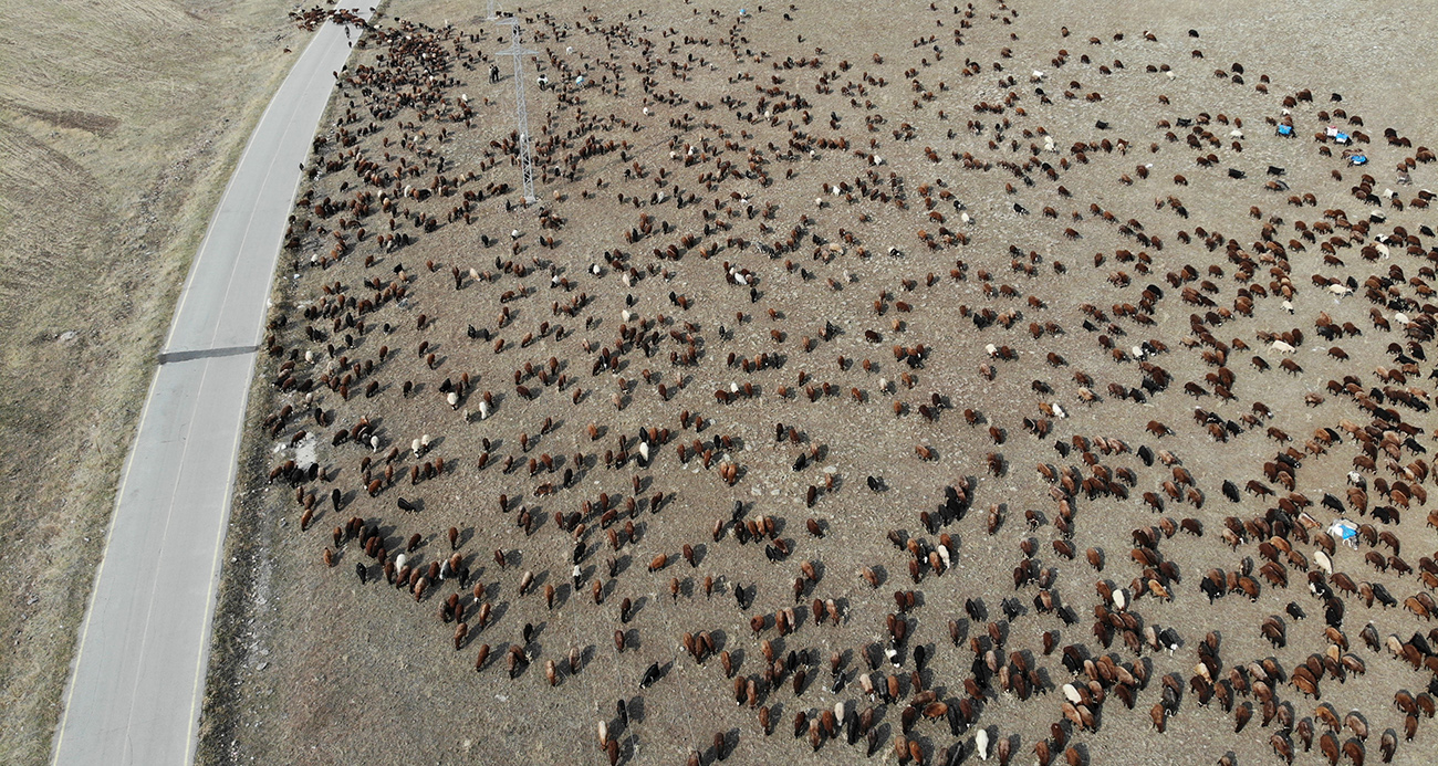Göçerlerin zorlu yolculuğu!