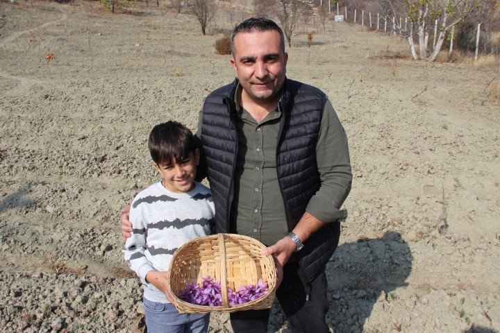 Denemek için ekti, 250 metrekarelik tarlasında dünyanın en pahalı baharatını yetiştirdi