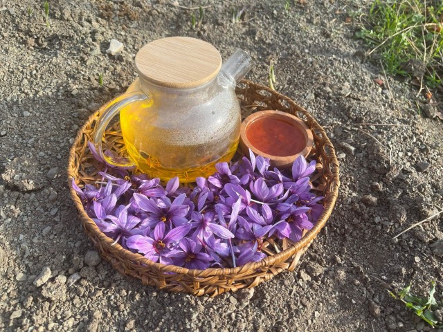 Denemek için ekti, 250 metrekarelik tarlasında dünyanın en pahalı baharatını yetiştirdi