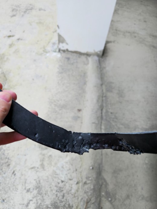 Sokak köpekleri park halindeki aracı parçaladı: O anlar kamerada