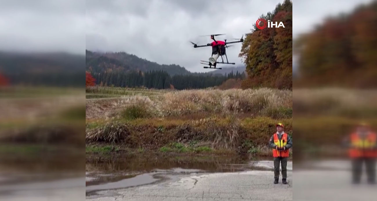 Japonya'da ayı saldırılarını önlemek için "havlayan dron" kullanılmaya başlandı